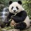 Pan_Xiao_Yuan